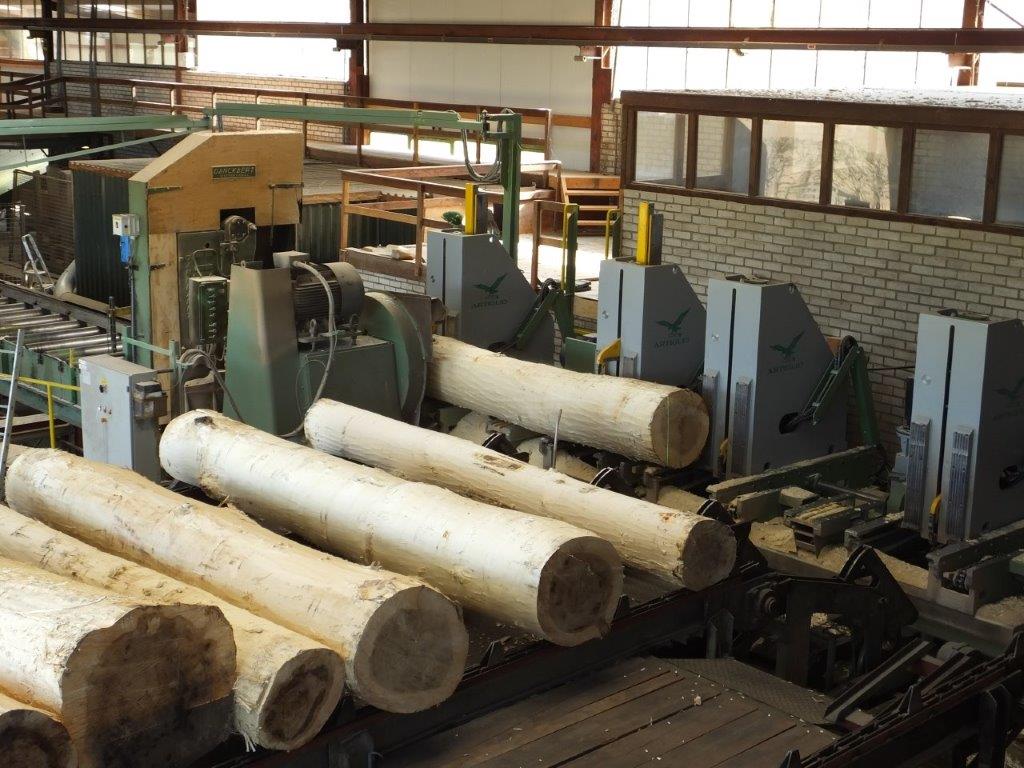 Zagerij De Vree: ‘Peppelhout is uitdagend hout’